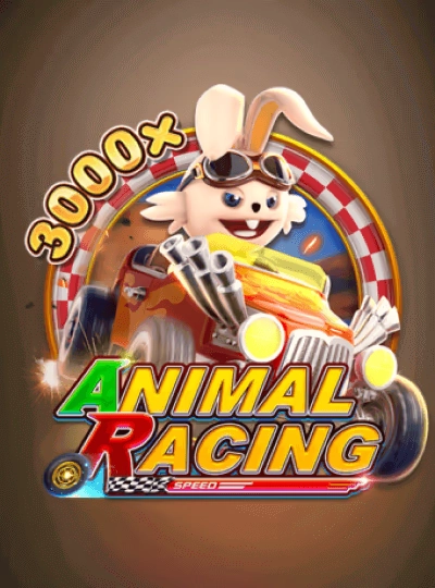 bgd999